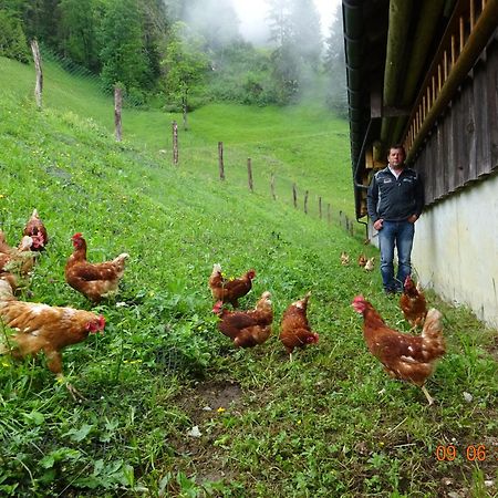 Berghof Burtscher Ludesch ภายนอก รูปภาพ
