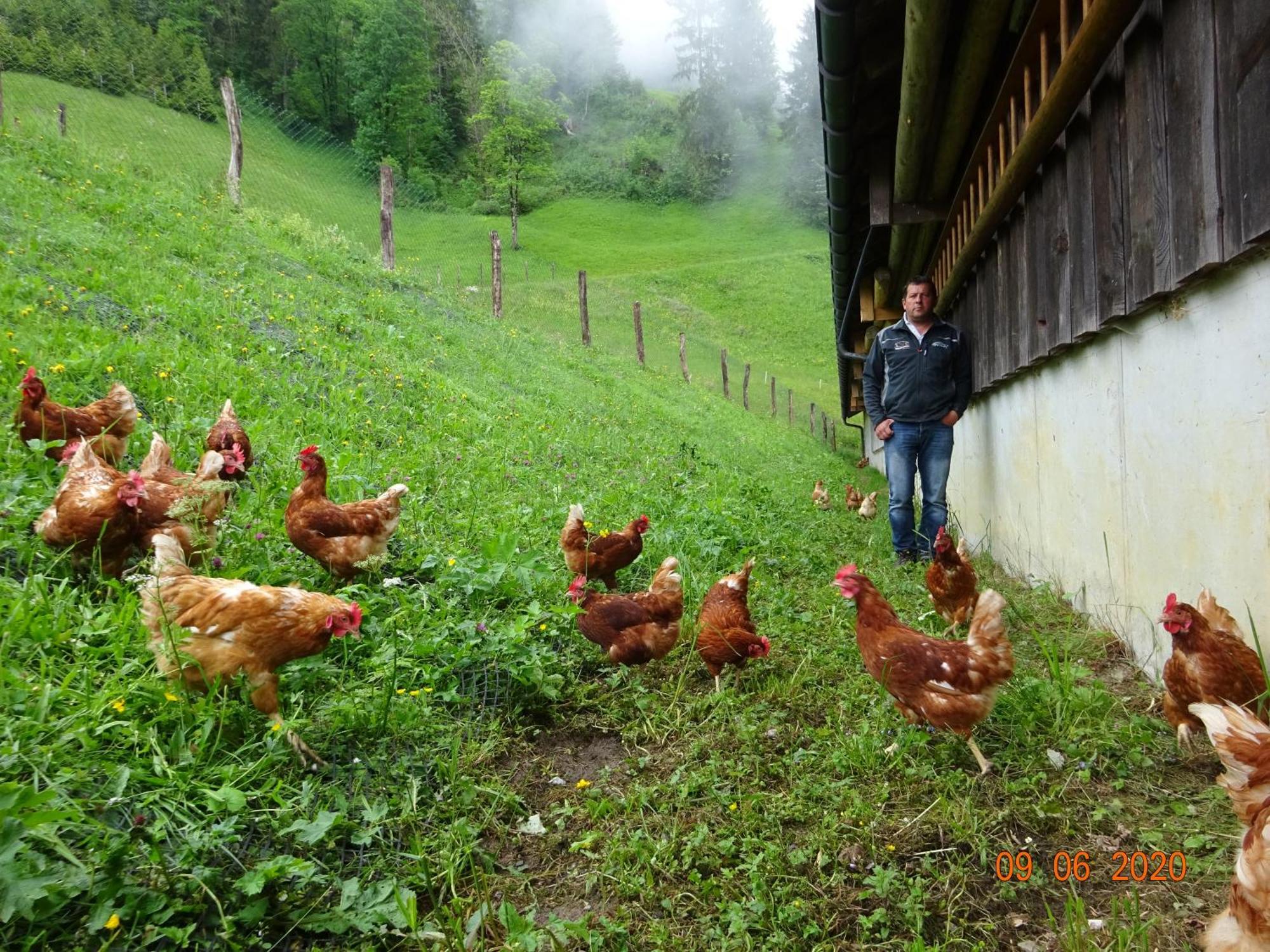 Berghof Burtscher Ludesch ภายนอก รูปภาพ