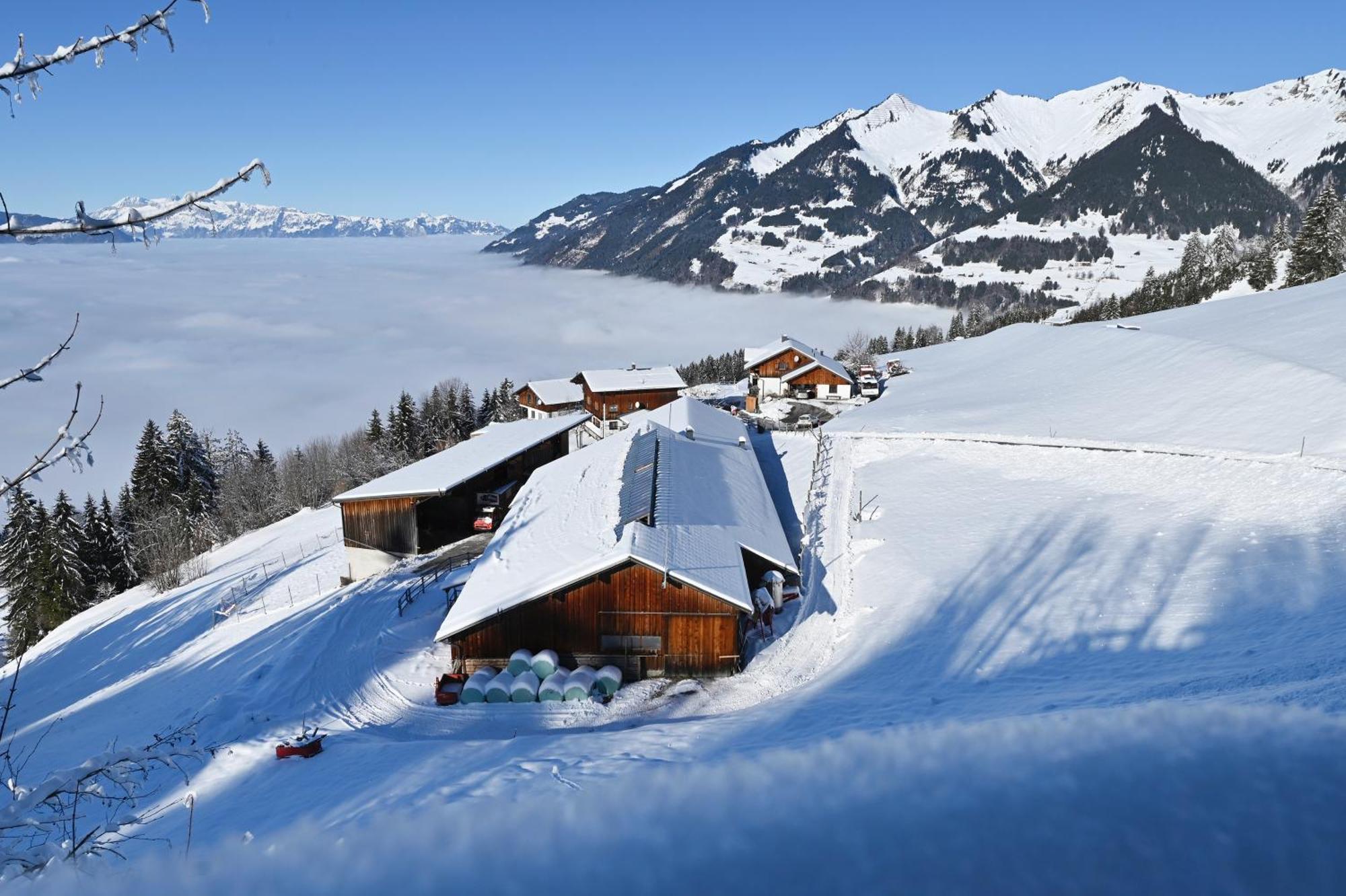 Berghof Burtscher Ludesch ภายนอก รูปภาพ